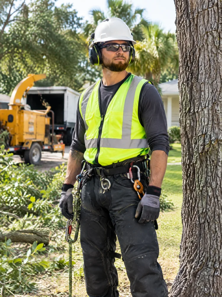 Illustration of an arborist wearing protective equipment