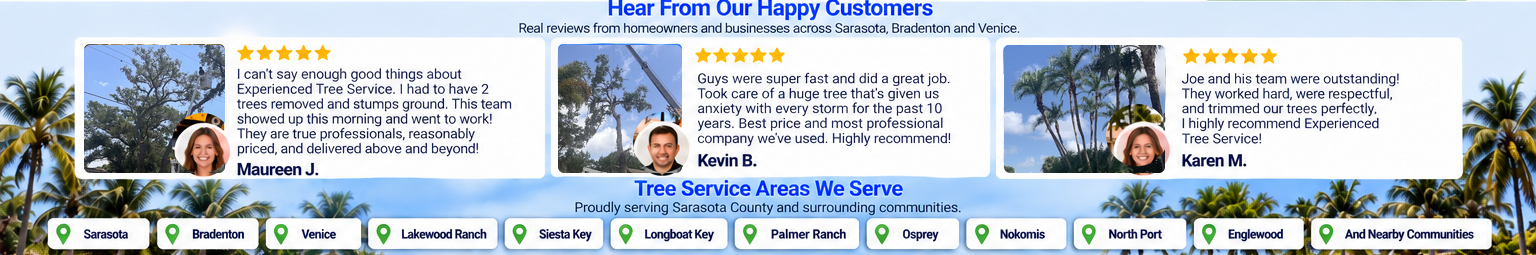Customer reviews and service areas for Experienced Tree Service