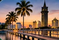 Owner-supplied illustrative sunset city waterfront and palms for additional Pinellas communities