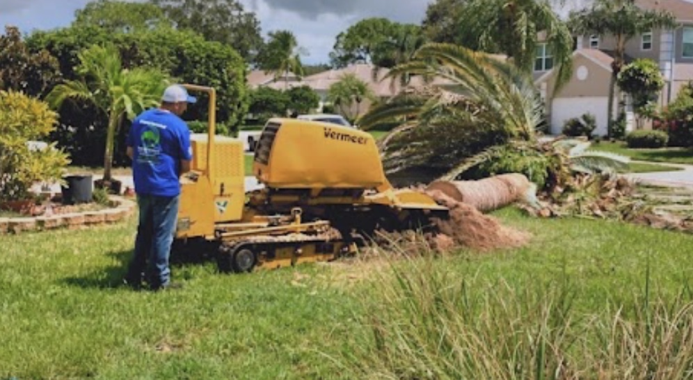 Tree work and wood chipper
