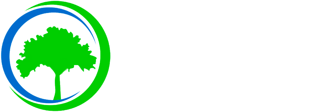 Experienced Tree Service