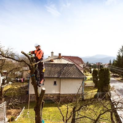 iStock-688969792-400x400