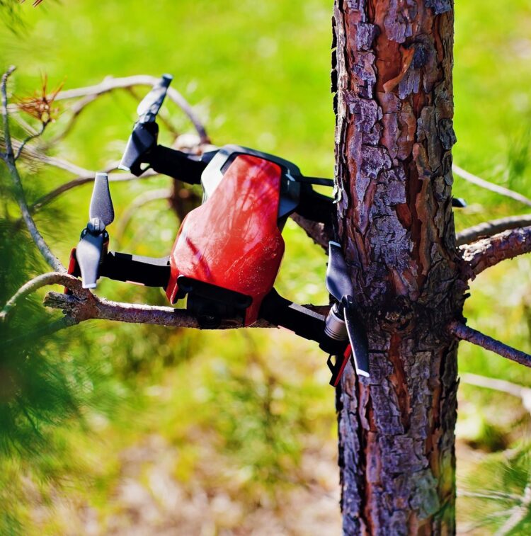 Drone-Stuck-in-Tree